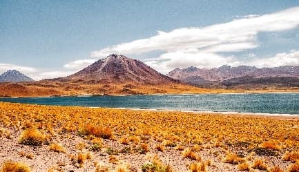 Image from image43.jpeg