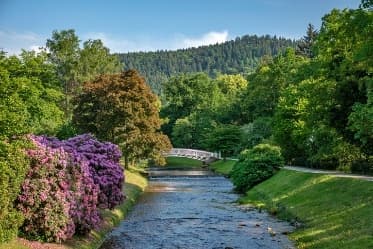 Image from image475.jpeg