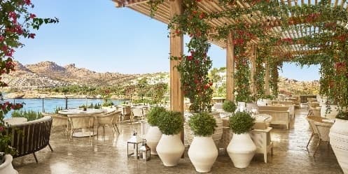 Image from image498.jpeg