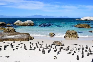 Image from image563.jpeg