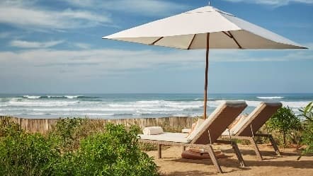 Image from image560.jpeg