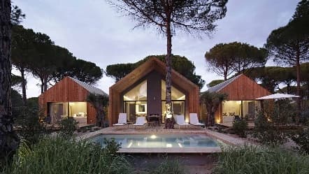 Image from image203.jpeg