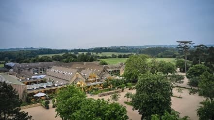 Image from image307.jpeg