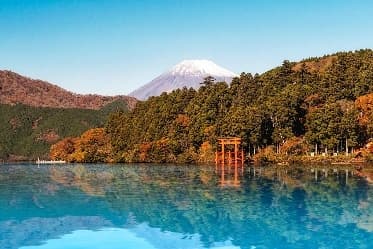 Image from image800.jpeg