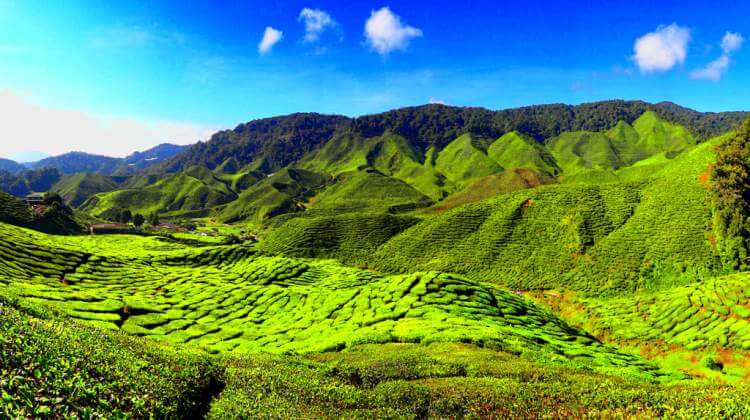 Image from image738.jpeg