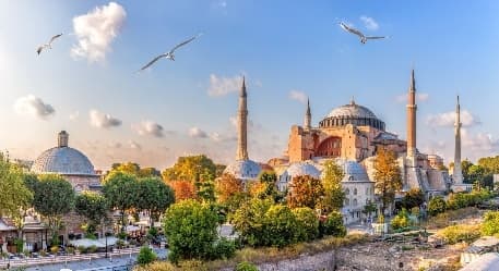 Image from image493.jpeg