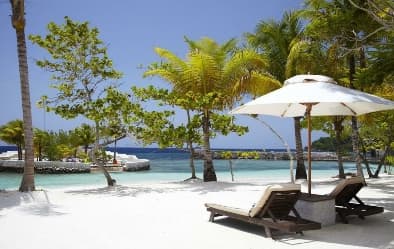 Image from image159.jpeg