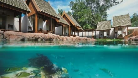 Image from image642.jpeg