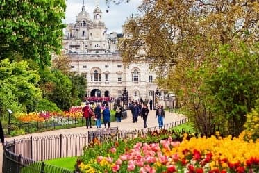 Image from image303.jpeg