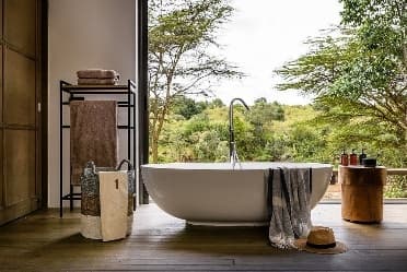 Image from image581.jpeg