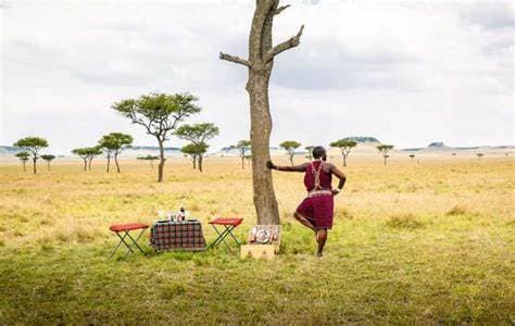 Image from image583.jpeg