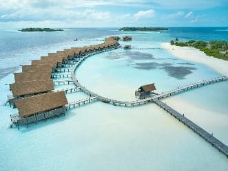 Image from image769.jpeg