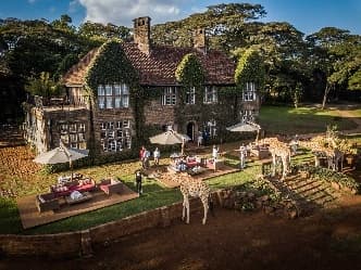 Image from image578.jpeg