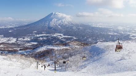 Image from image793.jpeg