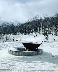 Image from image795.jpeg