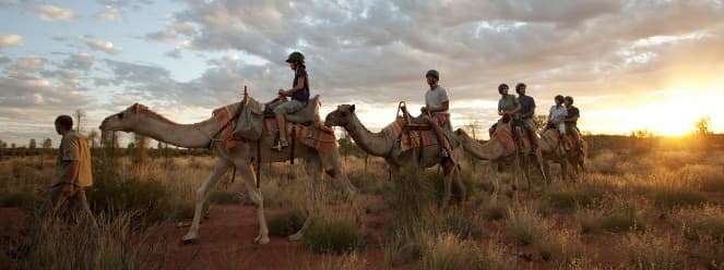 Image from image904.jpeg