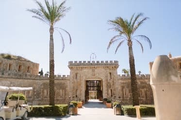 Image from image256.jpeg