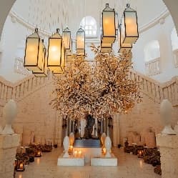 Image from image336.jpeg