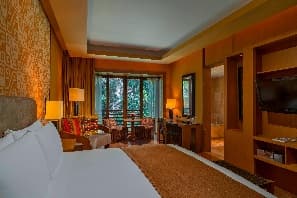 Image from image17.jpeg