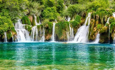 Image from image429.jpeg