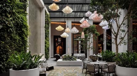 Image from image873.jpeg