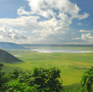 Image from image588.png