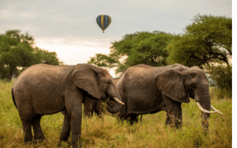 Image from image589.png