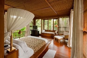 Image from image650.jpeg