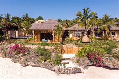 Image from image590.jpeg